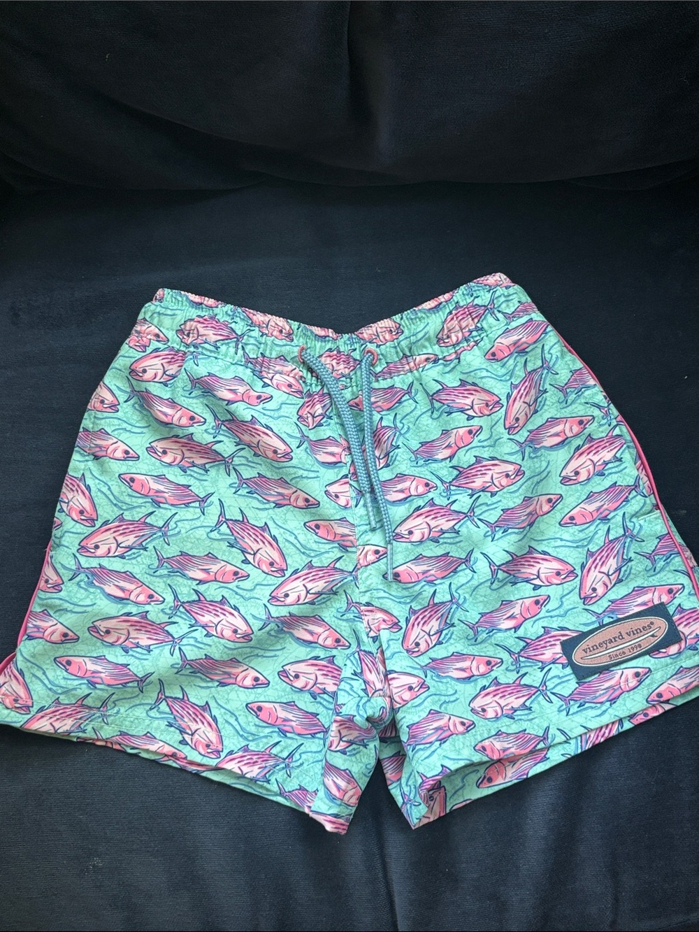 Vineyard Vines Light Blue Fish Little Boy Bathing Suit Size 4T
